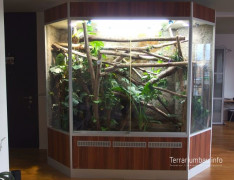 2. Terrarium für Wasseragamen